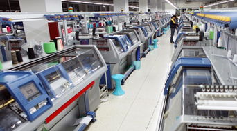 数字化转型 毛衫企业的“大翻身”之路